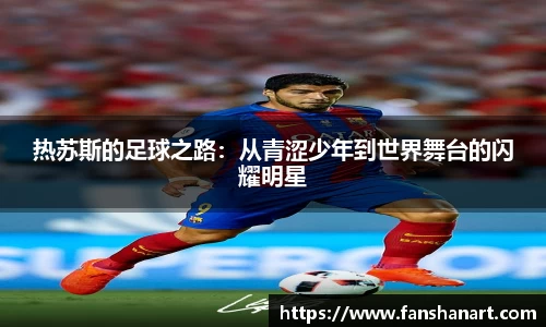 zoty中欧官网